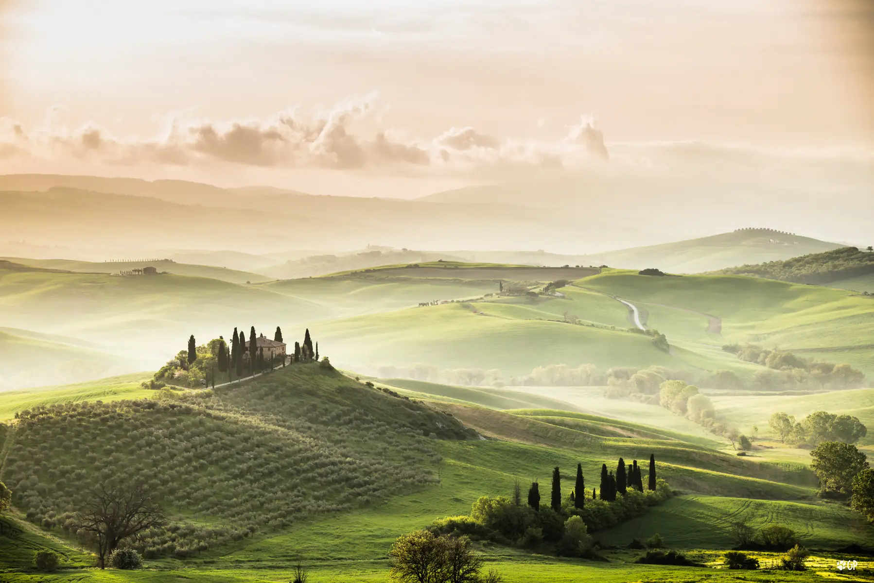 Toskana, Val d'Orcia'da gün doğumunda tepeler ve servi ağaçları